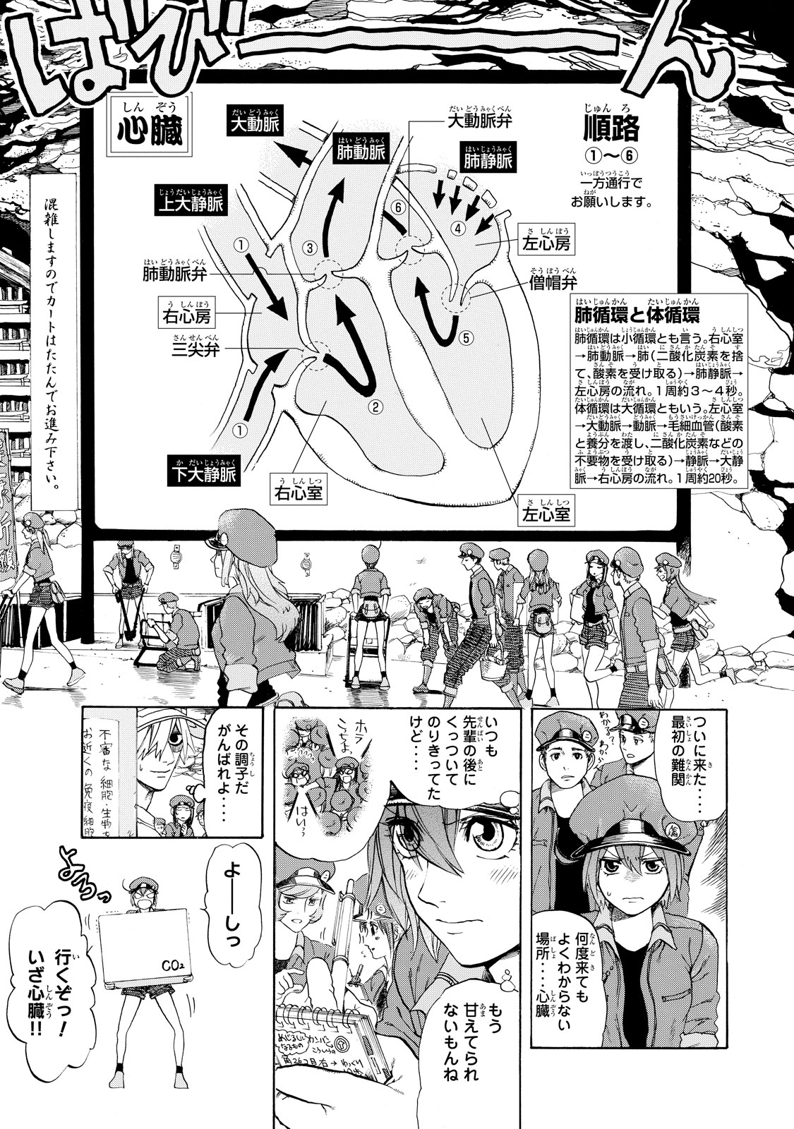 Hataraku Saibou - Chapter 10 - Page 13
